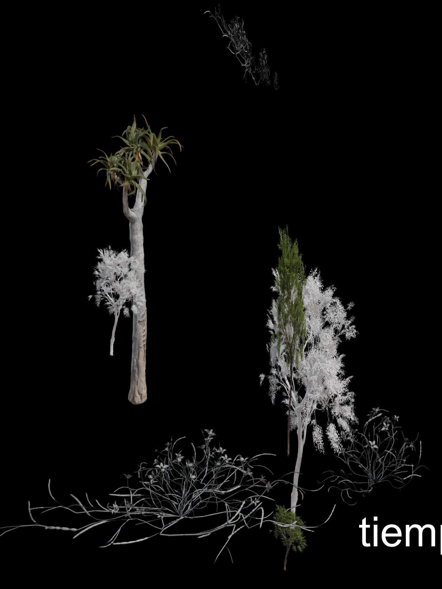 Collage generator output