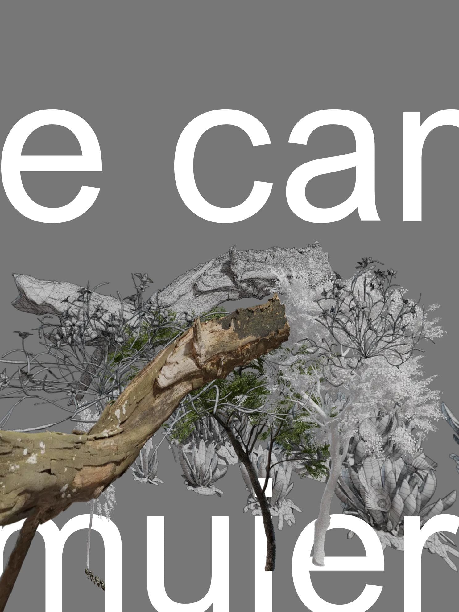 Collage generator output