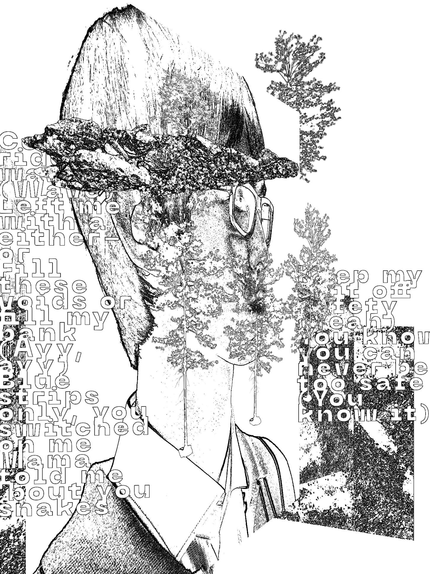 Collage generator output