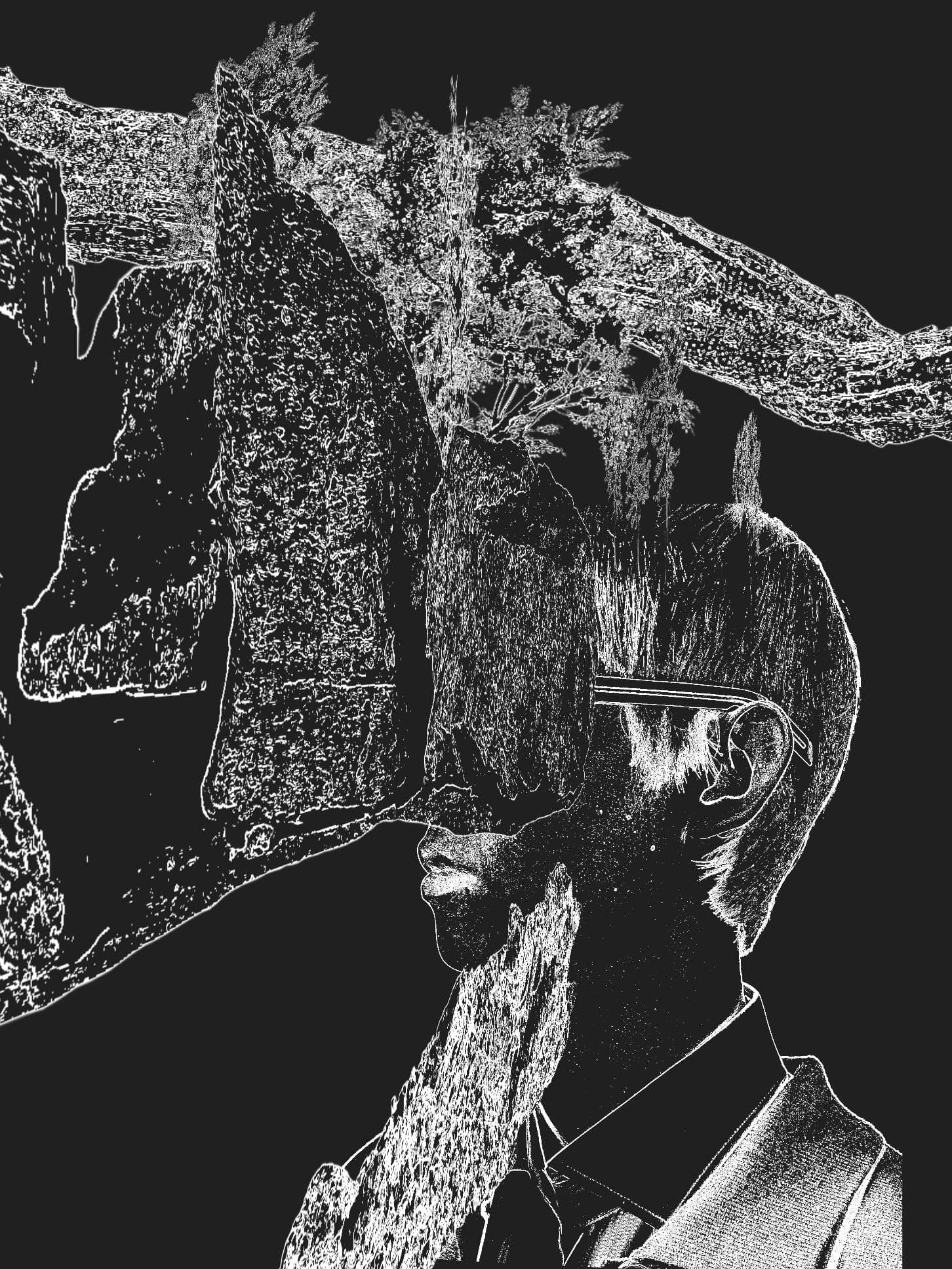 Collage generator output