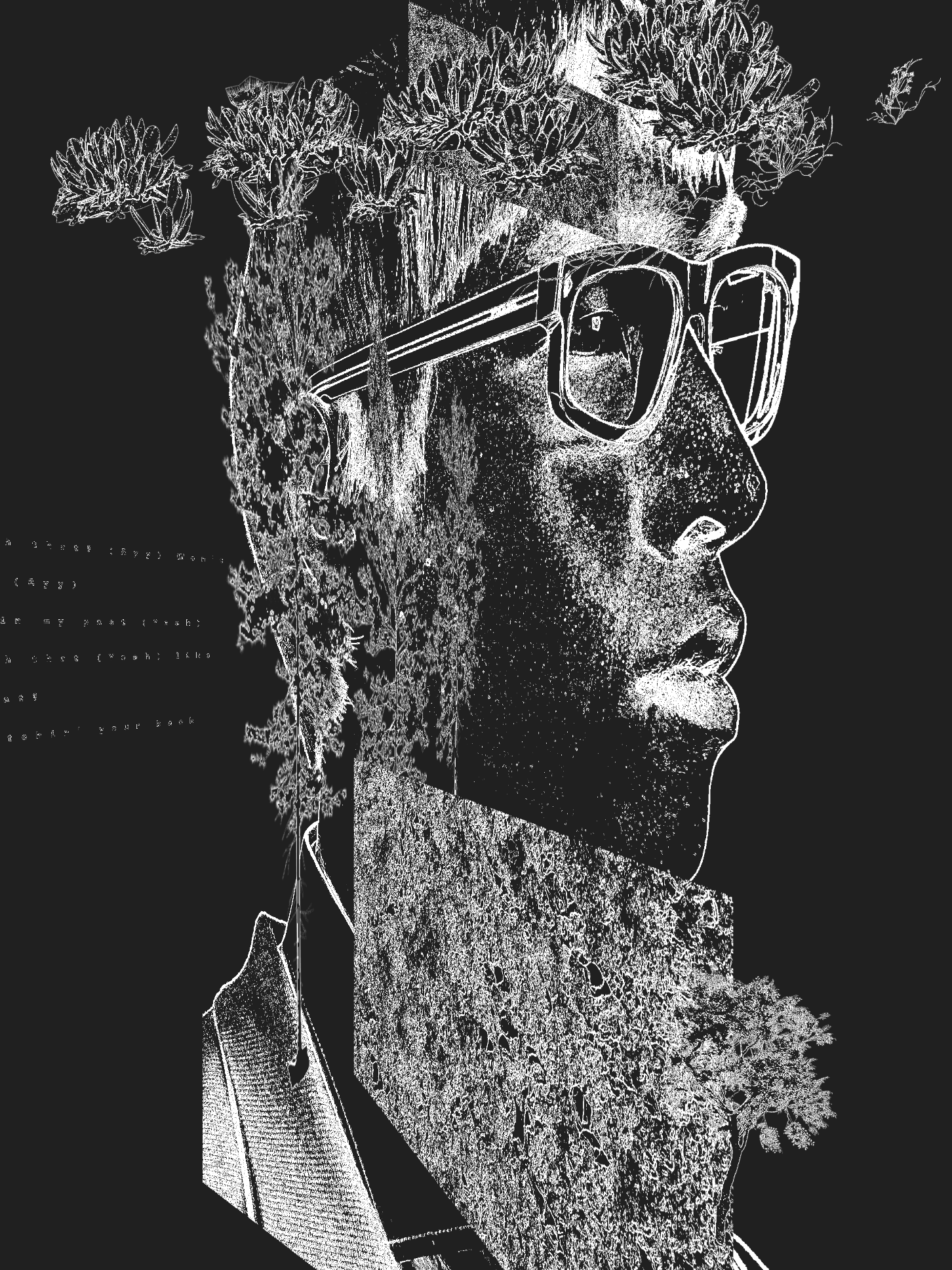 Collage generator output