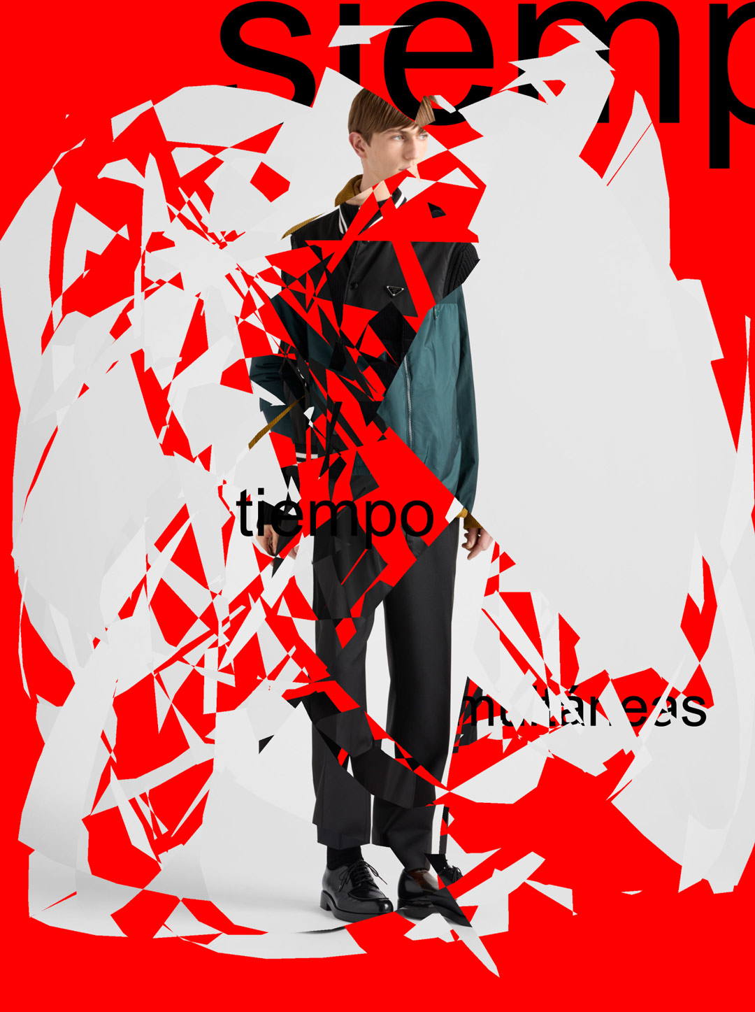 Collage 1